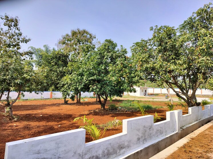 Exterior View, dakamarri  230 Sq.Yd. Plot In Dakamarri Vizag 8217443