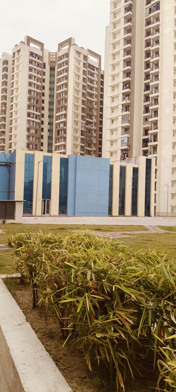 2 BHK Apartment – Exterior View View at Amrapali Golf Homes, Sector 4, Greater Noida - for Sale