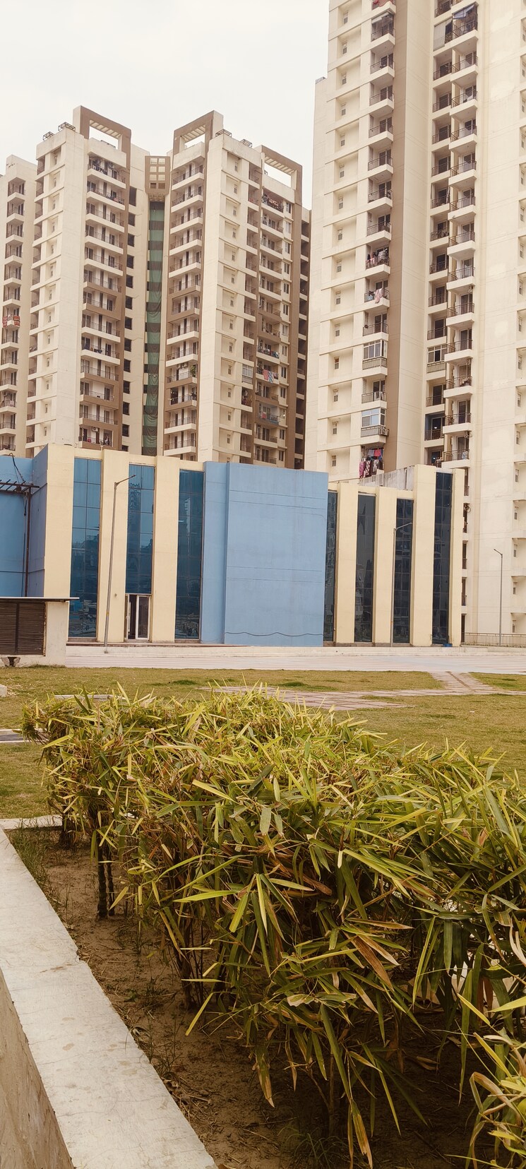 Exterior View, amrapali-golf-homes 2 Bedroom 835 Sq.Ft. Apartment In Sector 4, Greater Noida Greater Noida 8217773