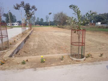 Plot Area in  Plot at Maniram – for Sale
