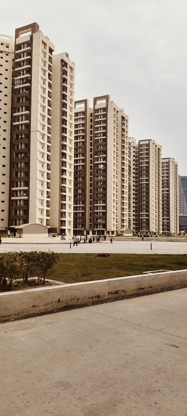 Exterior View, amrapali-golf-homes 2 Bedroom 1100 Sq.Ft. Apartment In Sector 4, Greater Noida Greater Noida 8217801