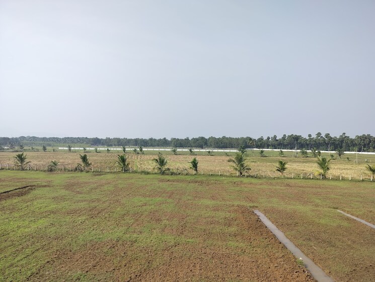 undefined, anandapuram  400 Sq.Yd. Plot In Anandapuram Vizag 6497034