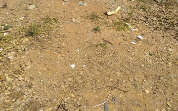 Plot For Sale in Bowenpally