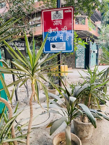   Pg at Sector 15 – for Rent