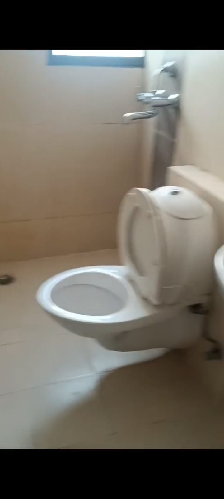 1 BHK 445 Sq.Ft. Apartment in Eldeco Mystic Green Phase II