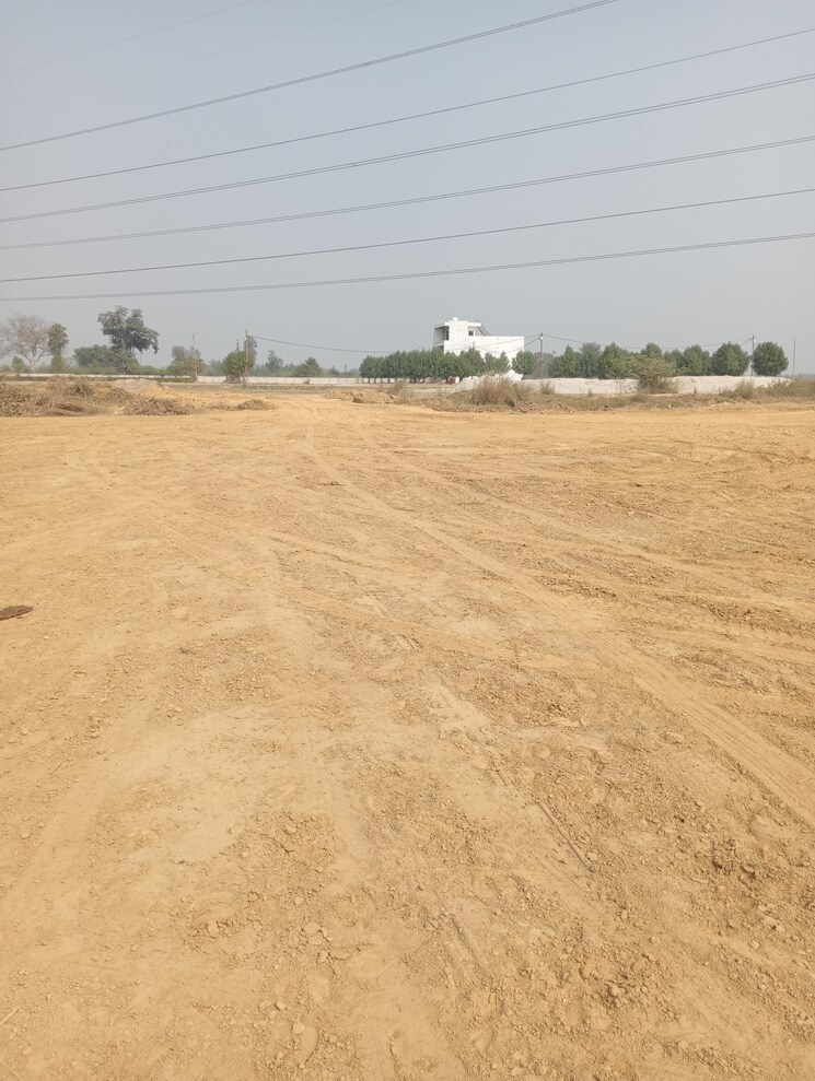 undefined, gosainganj  1250 Sq.Ft. Plot In Gosainganj Lucknow 8218313