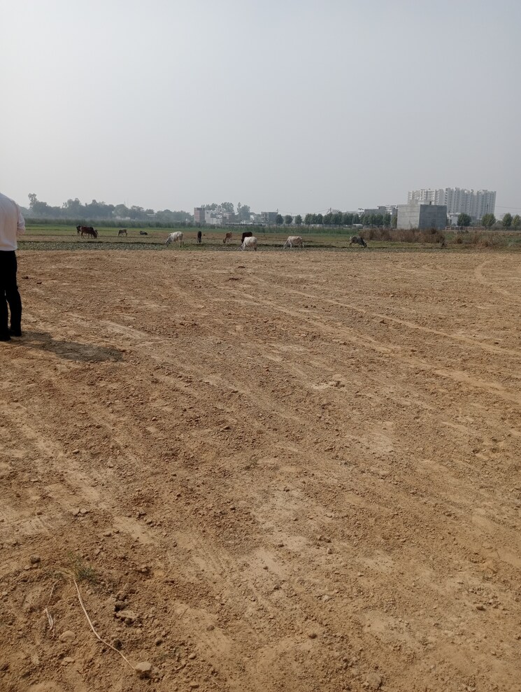 undefined, gosainganj  1500 Sq.Ft. Plot In Gosainganj Lucknow 8218342