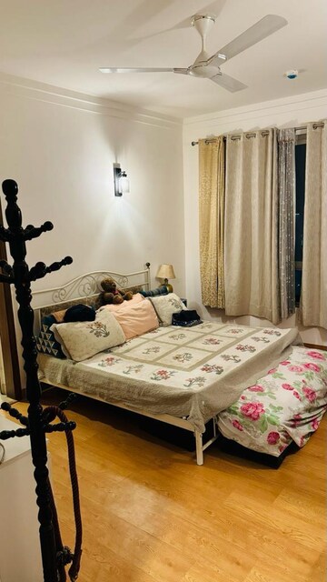 6+ BHK Independent House For Sale in Sector 51