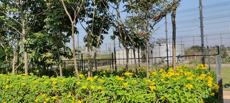 Garden, patan kumhari road  10000 Sq.Ft. Plot In Patan Kumhari Road Raipur 8218708