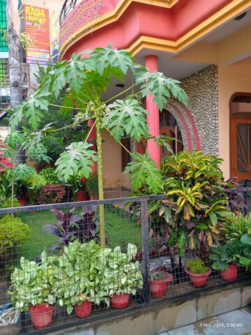 5 BHK Independent House – Exterior View View at Pallav Puram Phase 2 - for Sale