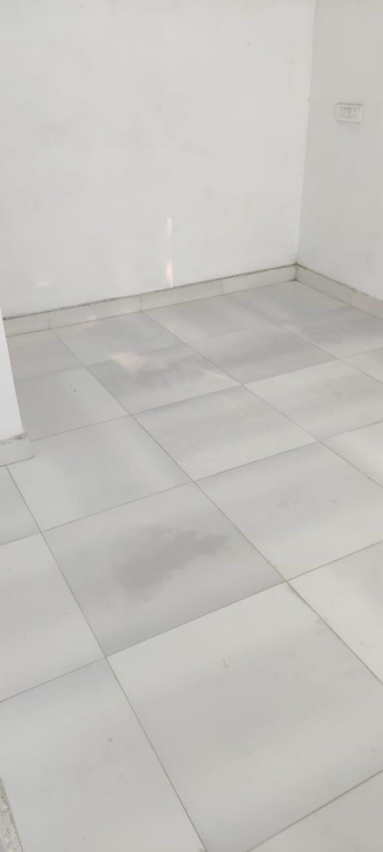 Room, pitampura 3 Bedroom 1000 Sq.Ft. Builder Floor In Pitampura Delhi 8219528