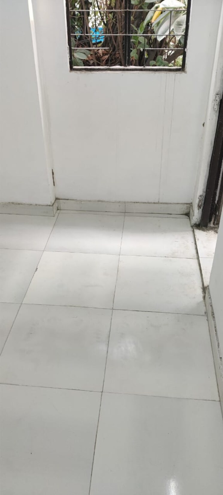 Room, pitampura 3 Bedroom 1000 Sq.Ft. Builder Floor In Pitampura Delhi 8219528