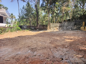 Plot For Resale in Mannanthala Thiruvananthapuram  8219860