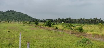 Plot Area in  Plot at Balighattam – for Sale