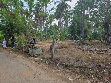 Plot Area in  Plot at Mannuthy – for Sale