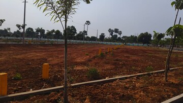 Plot Area in  Plot at Bheemili – for Sale