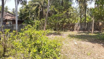 Plot For Resale in Mannuthy Thrissur  8220103