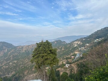 Plot For Resale in Kosani Road Almora  8220160