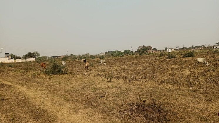 undefined, sejbahar  2400 Sq.Ft. Plot In Sejbahar Raipur 8220486