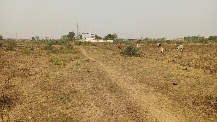 undefined, sejbahar  2400 Sq.Ft. Plot In Sejbahar Raipur 8220486