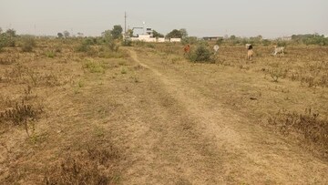 Plot Area in  Plot at Sejbahar – for Sale