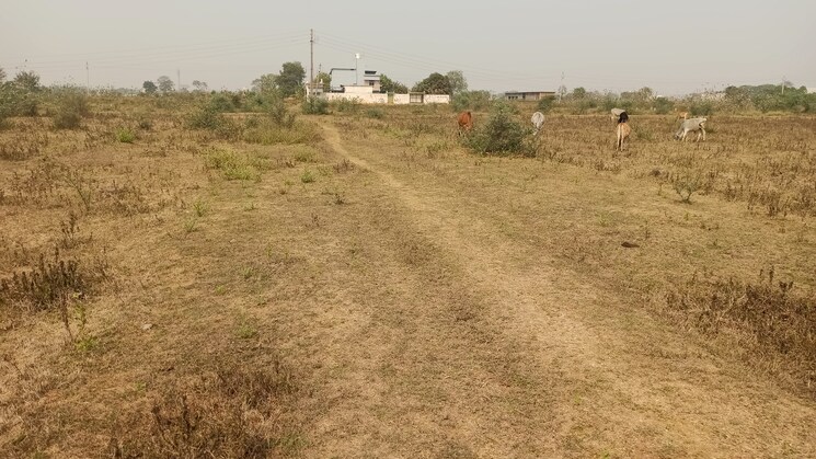 undefined, sejbahar  2400 Sq.Ft. Plot In Sejbahar Raipur 8220486