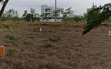Plot For Sale in Duvvada