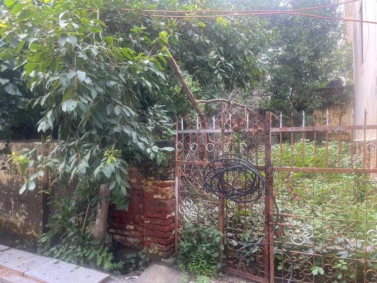 undefined, sector 55  202 Sq.Mt. Plot In Sector 55 Noida 8220739