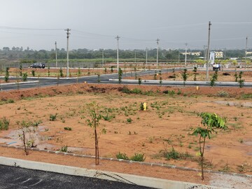 Plot Area in  Plot at Shadnagar – for Sale