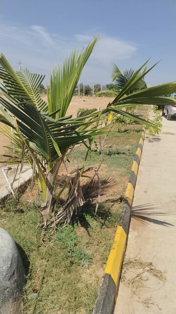  Plot – Exterior View View at Khairatabad - for Sale