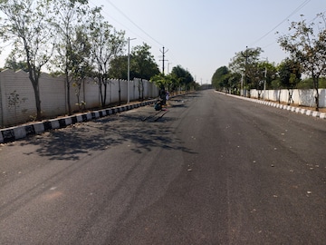 Plot For Resale in Jadcherla Hyderabad  8220919