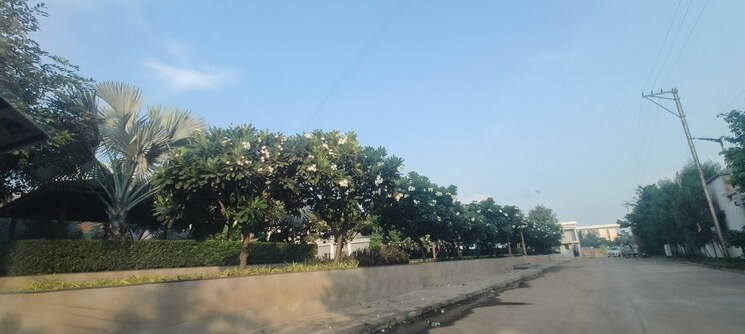 Exterior View, pandri  1500 Sq.Ft. Plot In Pandri Raipur 8221002