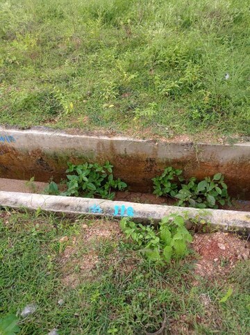  Plot – Exterior View View at Hunsur Road - for Sale