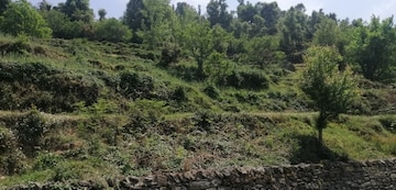 Commercial Land 4500 Sq.Ft. For Resale in Mukteshwar Nainital  8221332