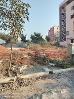 1900 Sq.Ft. Plot in S S Maple Layout 