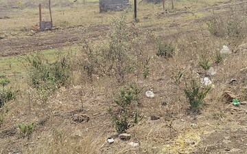 Plot For Sale in Arya Nagar