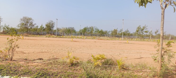 undefined, shadnagar  165 Sq.Yd. Plot In Shadnagar Hyderabad 8221469