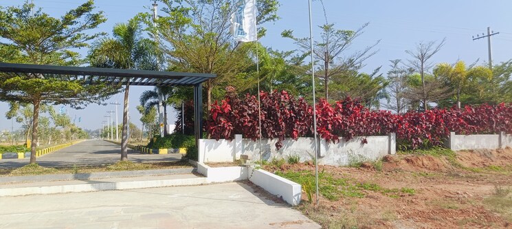 Garden, shadnagar  165 Sq.Yd. Plot In Shadnagar Hyderabad 8221469