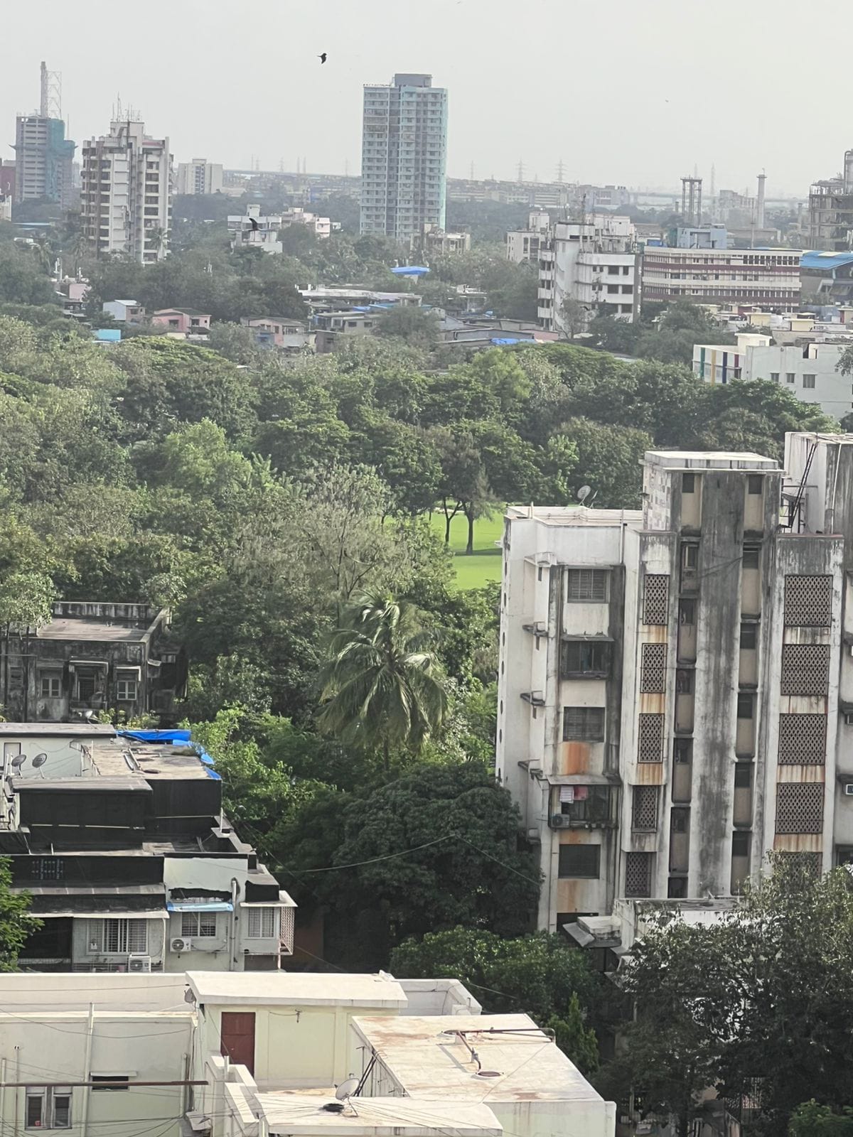 4 BHK + Pooja Room Apartment For Sale in Sandu Vishranti