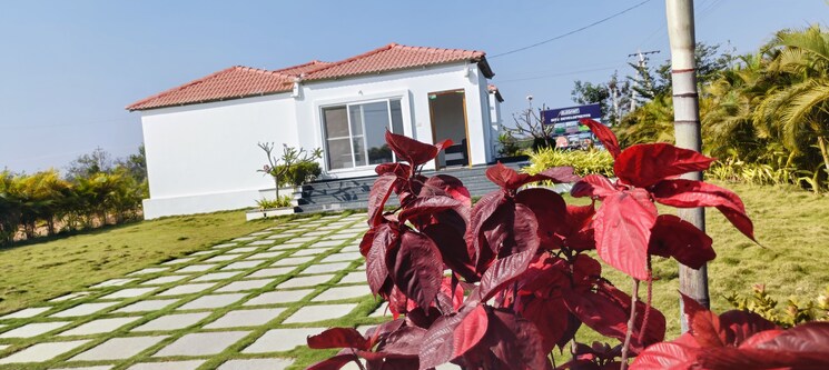 Exterior View, shadnagar  200 Sq.Yd. Plot In Shadnagar Hyderabad 8221512