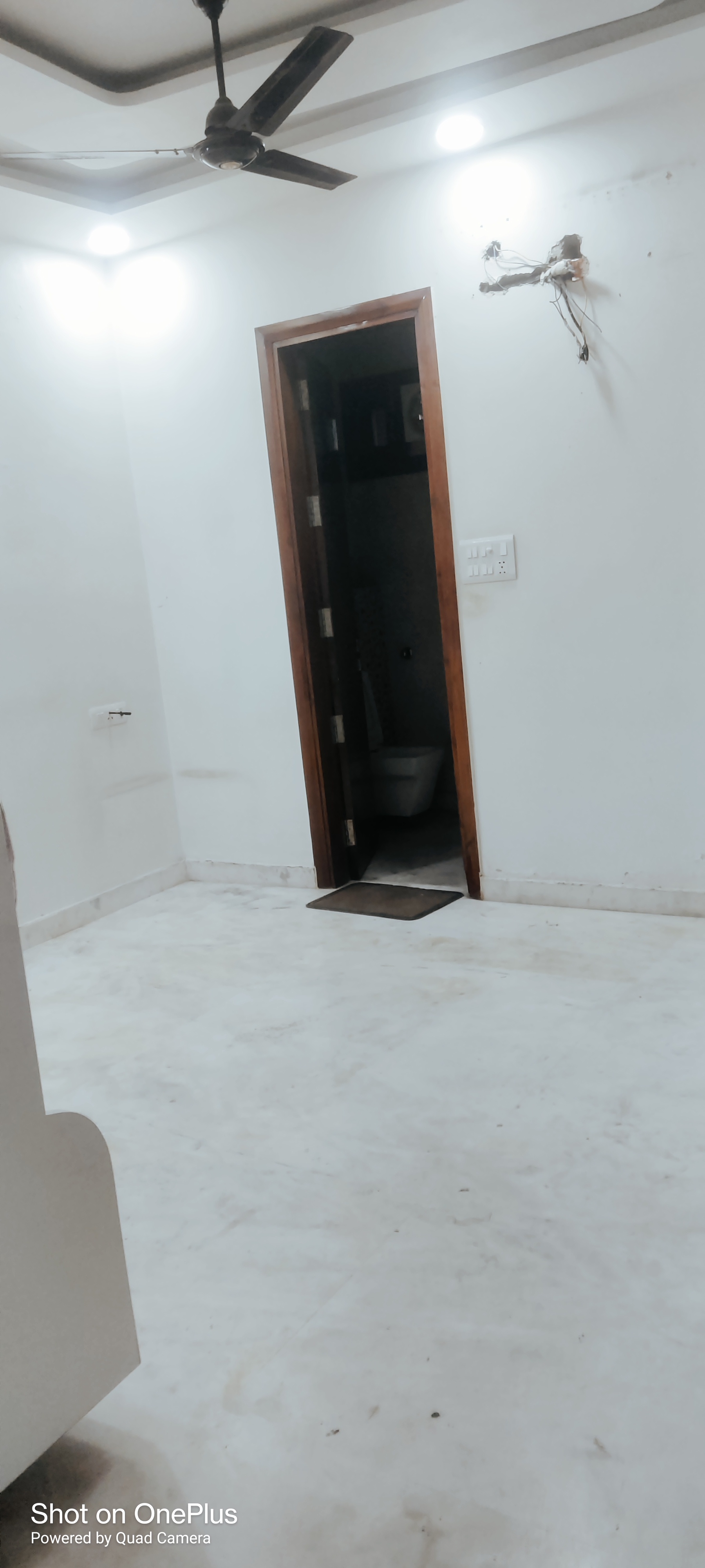 3 BHK + Pooja Room Builder Floor For Sale in Rohini Sector 28