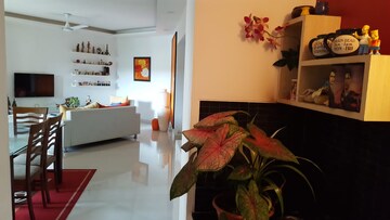 3 BHK Apartment For Resale in Pethkar Samrajya Kothrud Pune  8221723