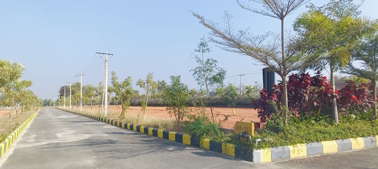 Exterior View, shadnagar  250 Sq.Yd. Plot In Shadnagar Hyderabad 8221779