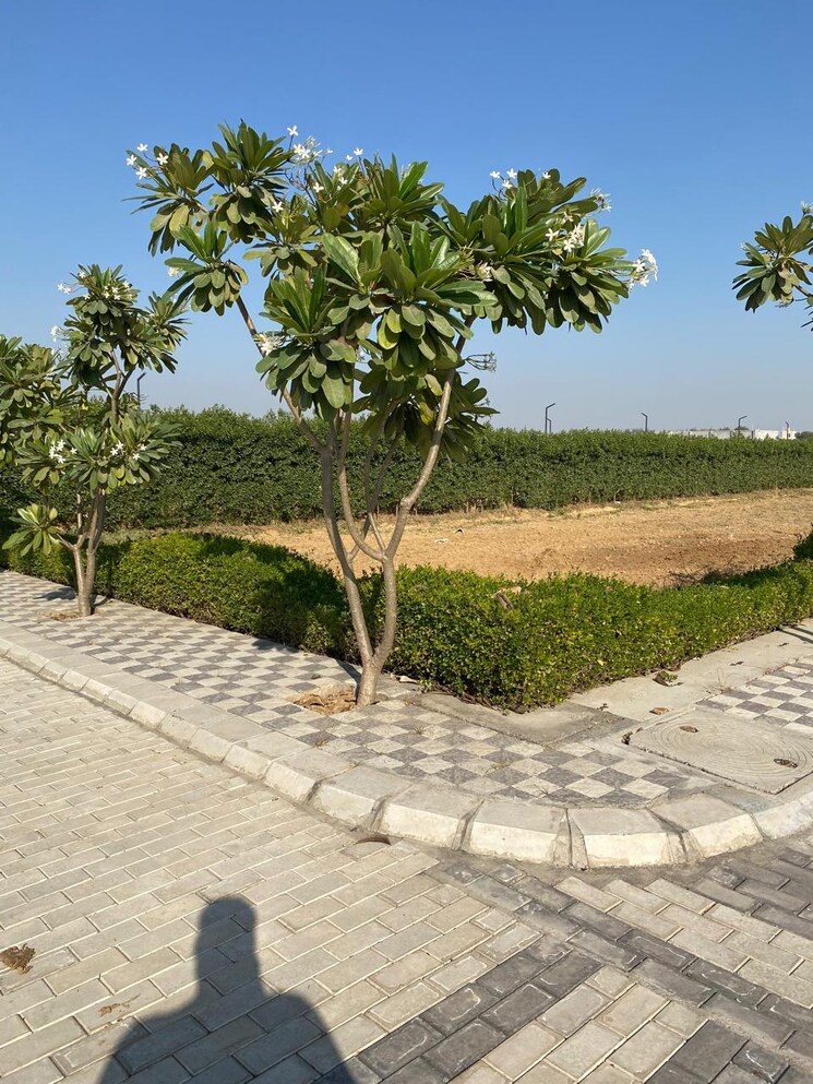 Garden, soha-neal-city  126 Sq.Yd. Plot In Sector 98 Faridabad 8221939