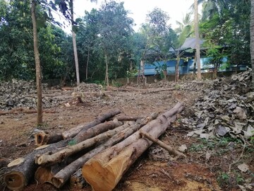  Plot For Sale in Viyyur