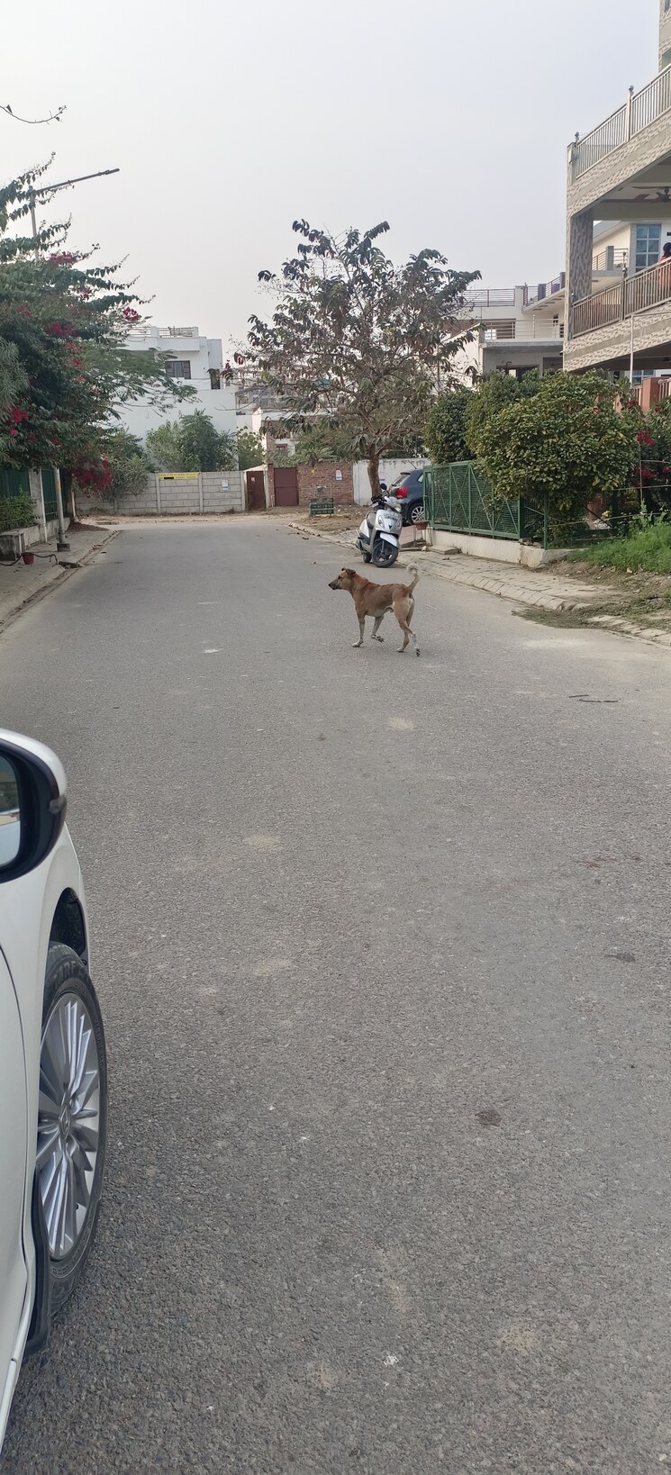 Exterior View, ansal-sushant-golf-city  2820 Sq.Ft. Plot In Sushant Golf City Lucknow 8221958