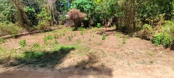 Plot Area in  Plot at Nadathara – for Sale