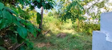 Plot Area in  Plot at Peringavu – for Sale
