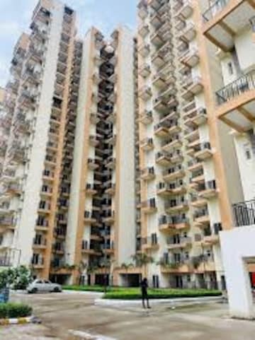 2.5 BHK Apartment For Rent in Amrapali Terrace Homes Tech Zone 4 Greater Noida Greater Noida  8222785