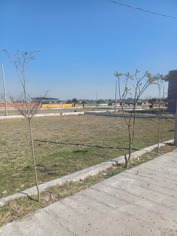  Plot – Exterior View View at Jewar - for Sale